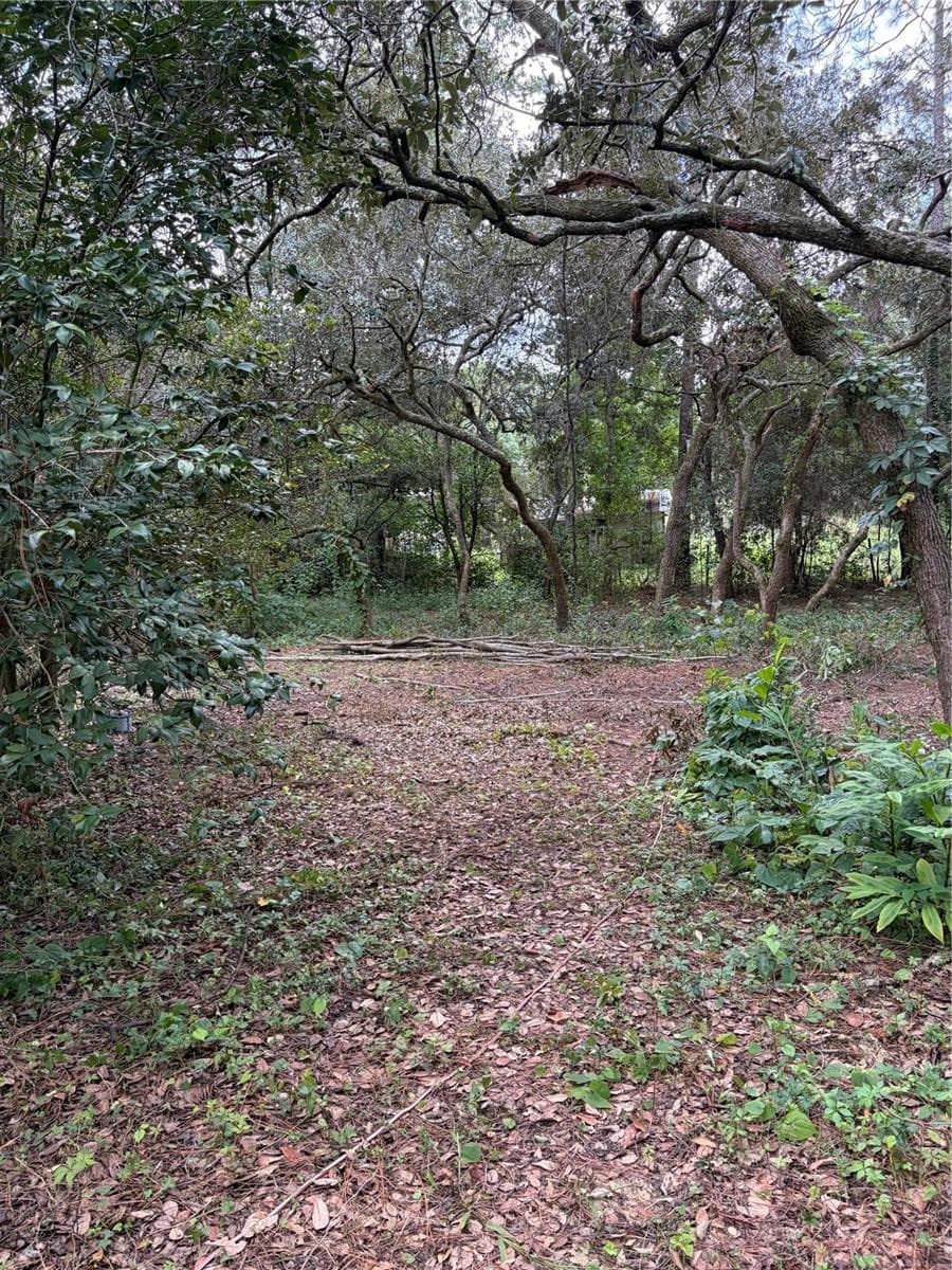 Single Family Residence at 4555 SW 175 CT, DUNNELLON, photo 4 of 6