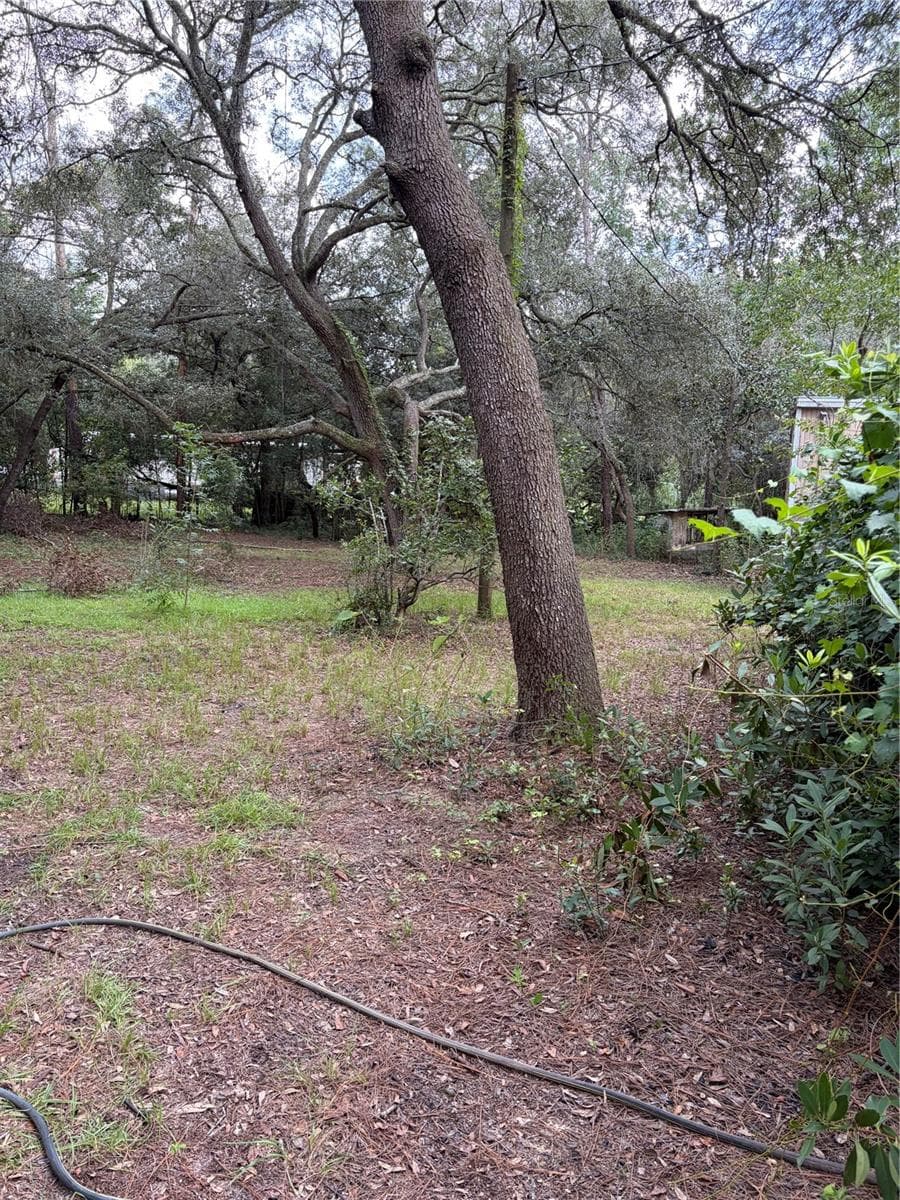 Single Family Residence at 4555 SW 175 CT, DUNNELLON, photo 5 of 6