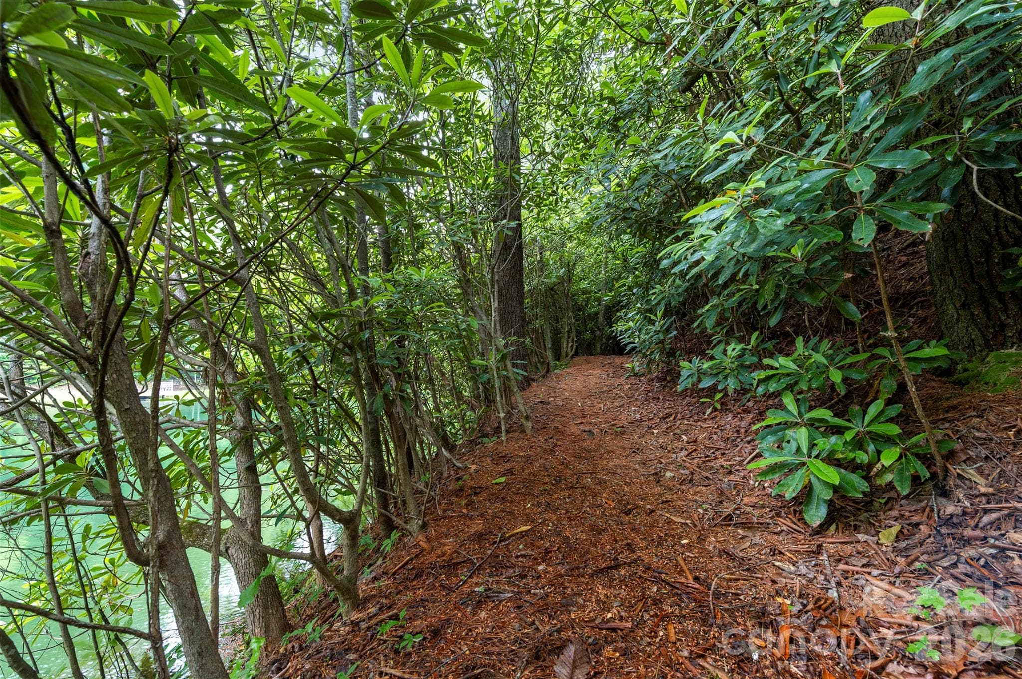 Hiking Trails - 68 Huckleberry Ridge Lane, Zirconia
