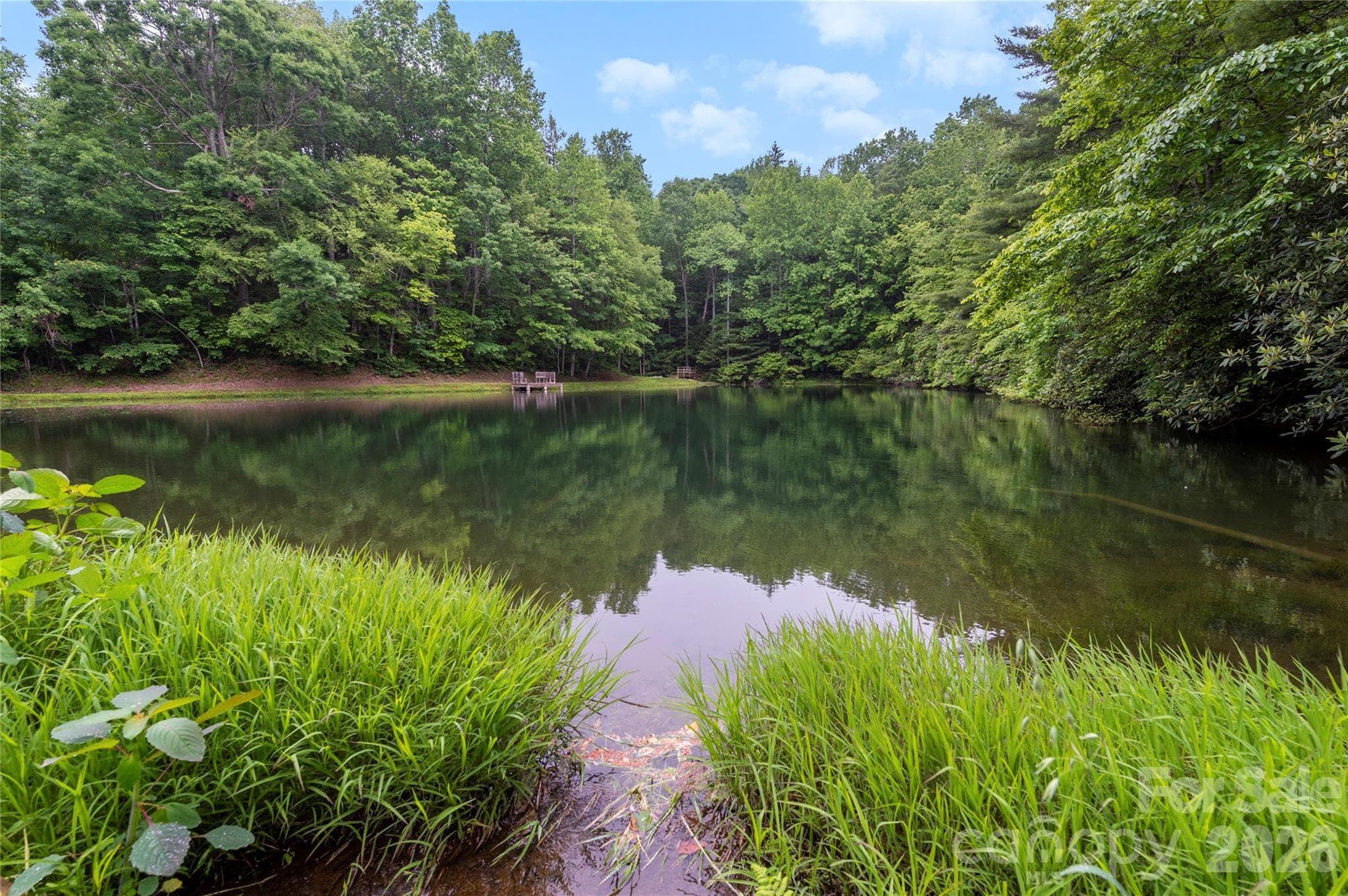 Community Pond - 68 Huckleberry Ridge Lane, Zirconia