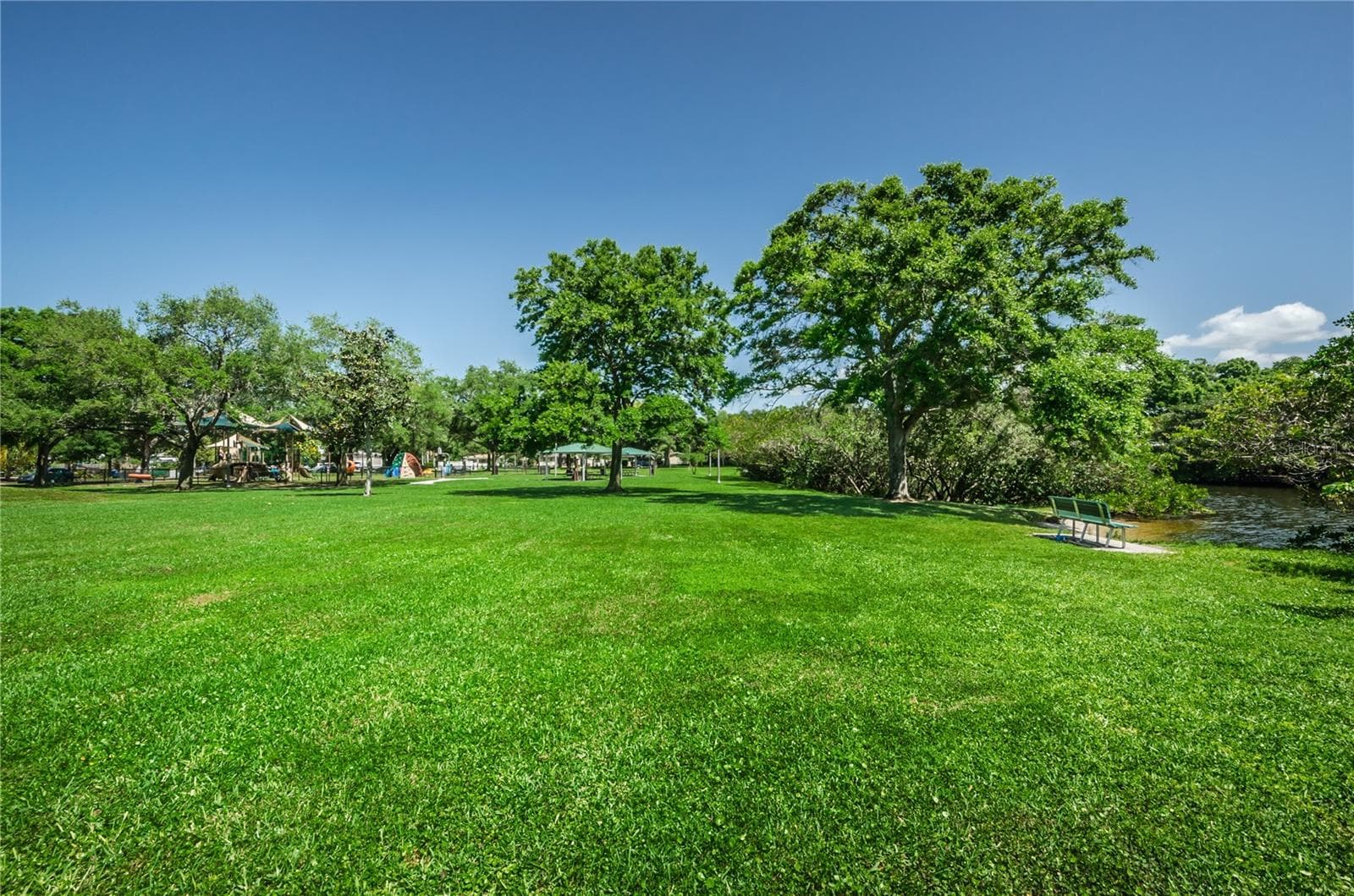 Crisp Park Beautiful Grounds: Play Kickball - 262 40 AVE NE, ST PETERSBURG