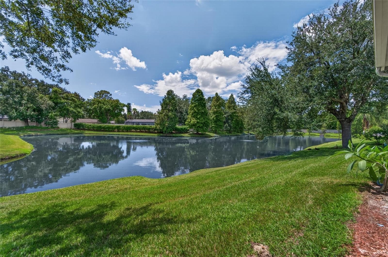 Townhouse at 1113 SAVANNAH LANDINGS AVE, VALRICO, photo 20 of 80