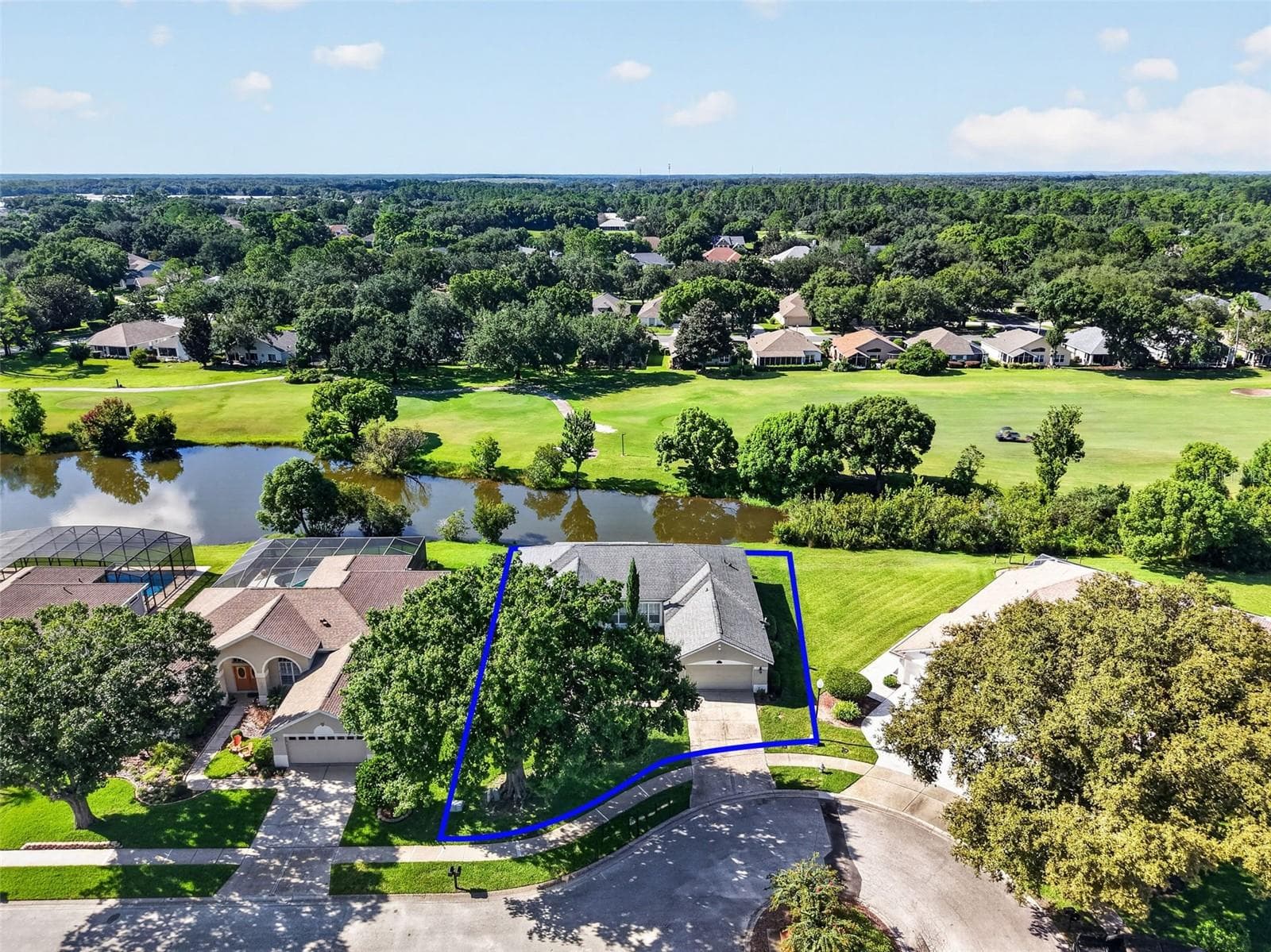 Single Family Residence at 6022 FALCONBRIDGE PL, MOUNT DORA, photo 3 of 34