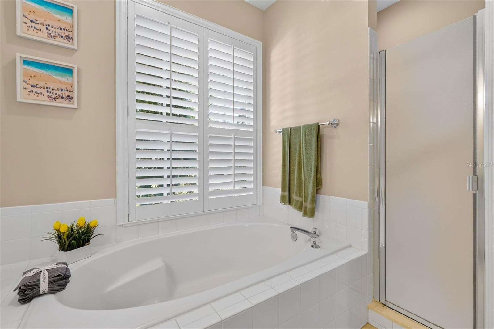 Single Family Residence at 6022 FALCONBRIDGE PL, MOUNT DORA, photo 23 of 34