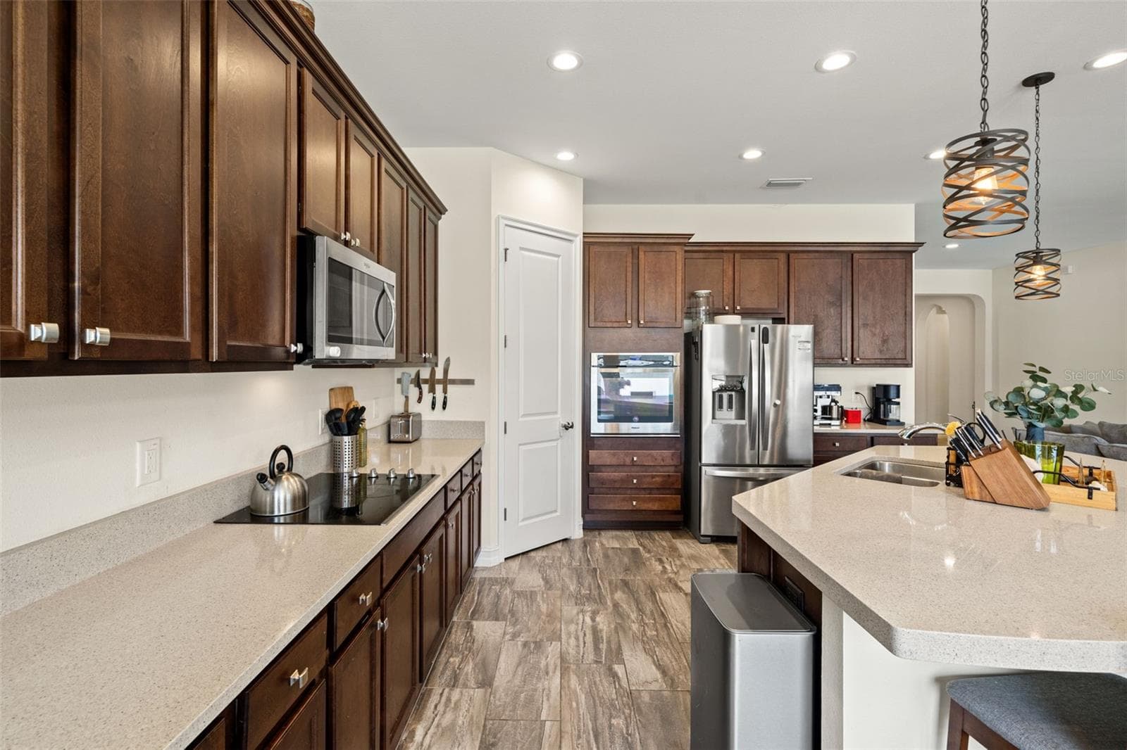 Single Family Residence at 1723 WHITEWILLOW DR, WESLEY CHAPEL, photo 40 of 85