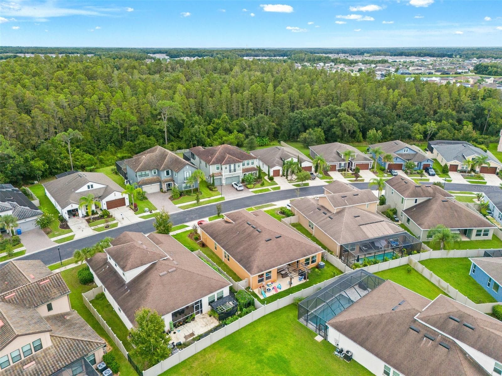 Single Family Residence at 1723 WHITEWILLOW DR, WESLEY CHAPEL, photo 55 of 85
