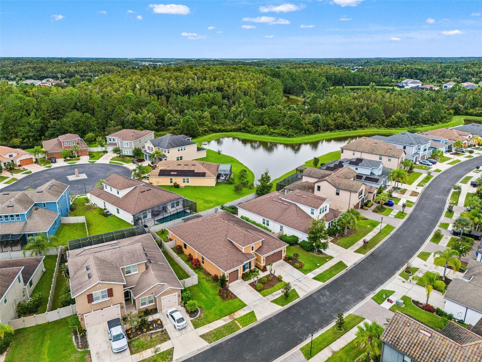 Single Family Residence at 1723 WHITEWILLOW DR, WESLEY CHAPEL, photo 59 of 85