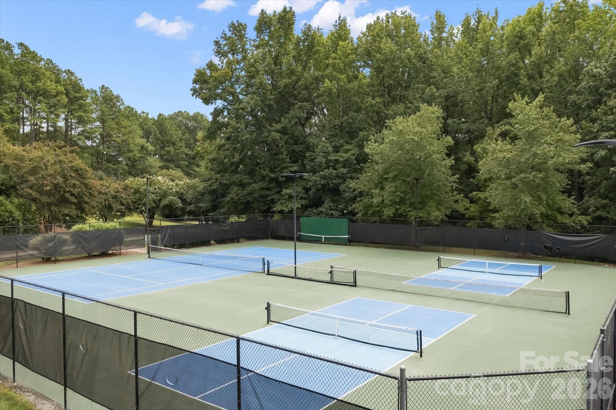 Pickleball & Tennis Courts - 309 Stonewater Bay Lane, Mount Holly