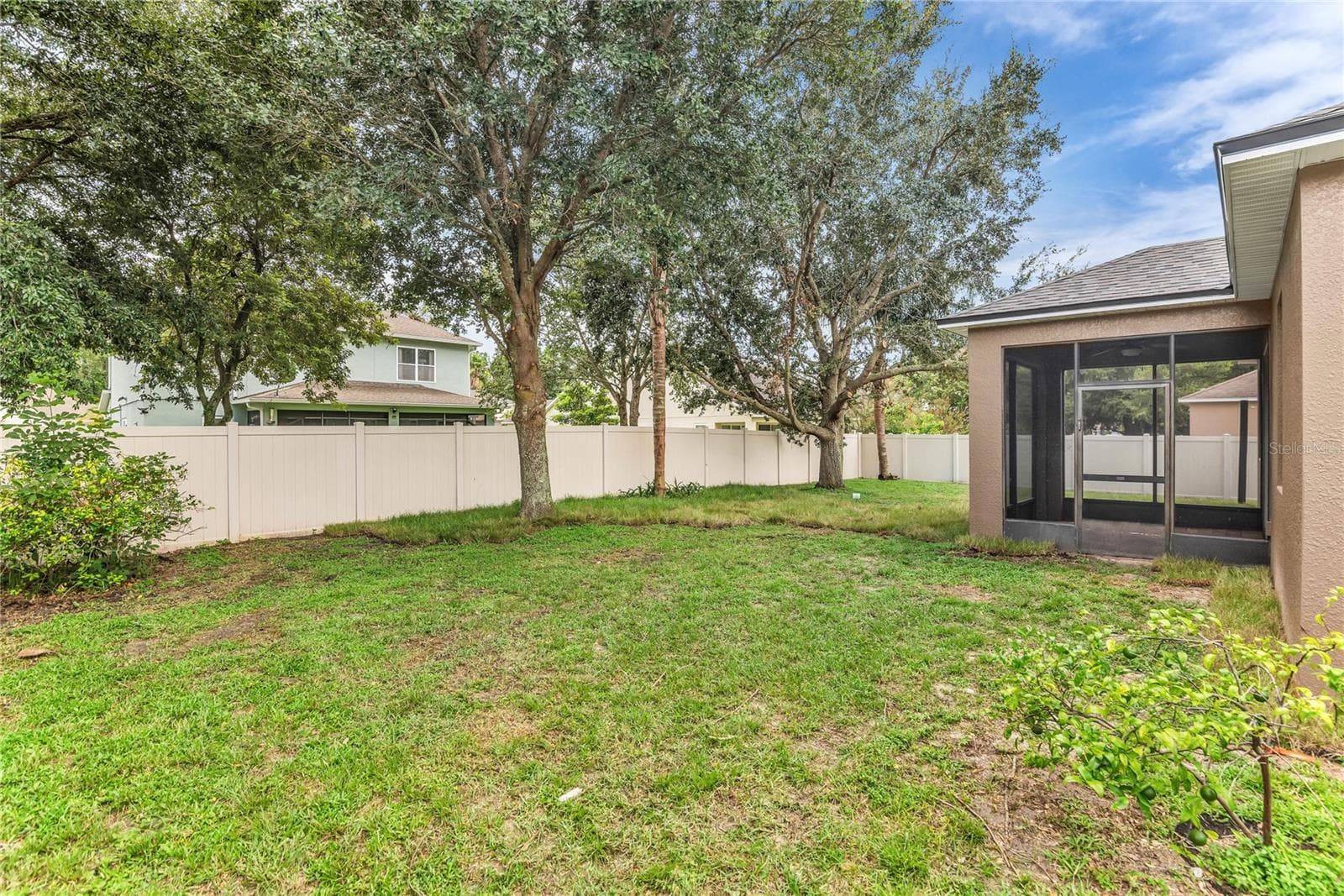 Backyard - 847 AYDEN OAK LN, OCOEE