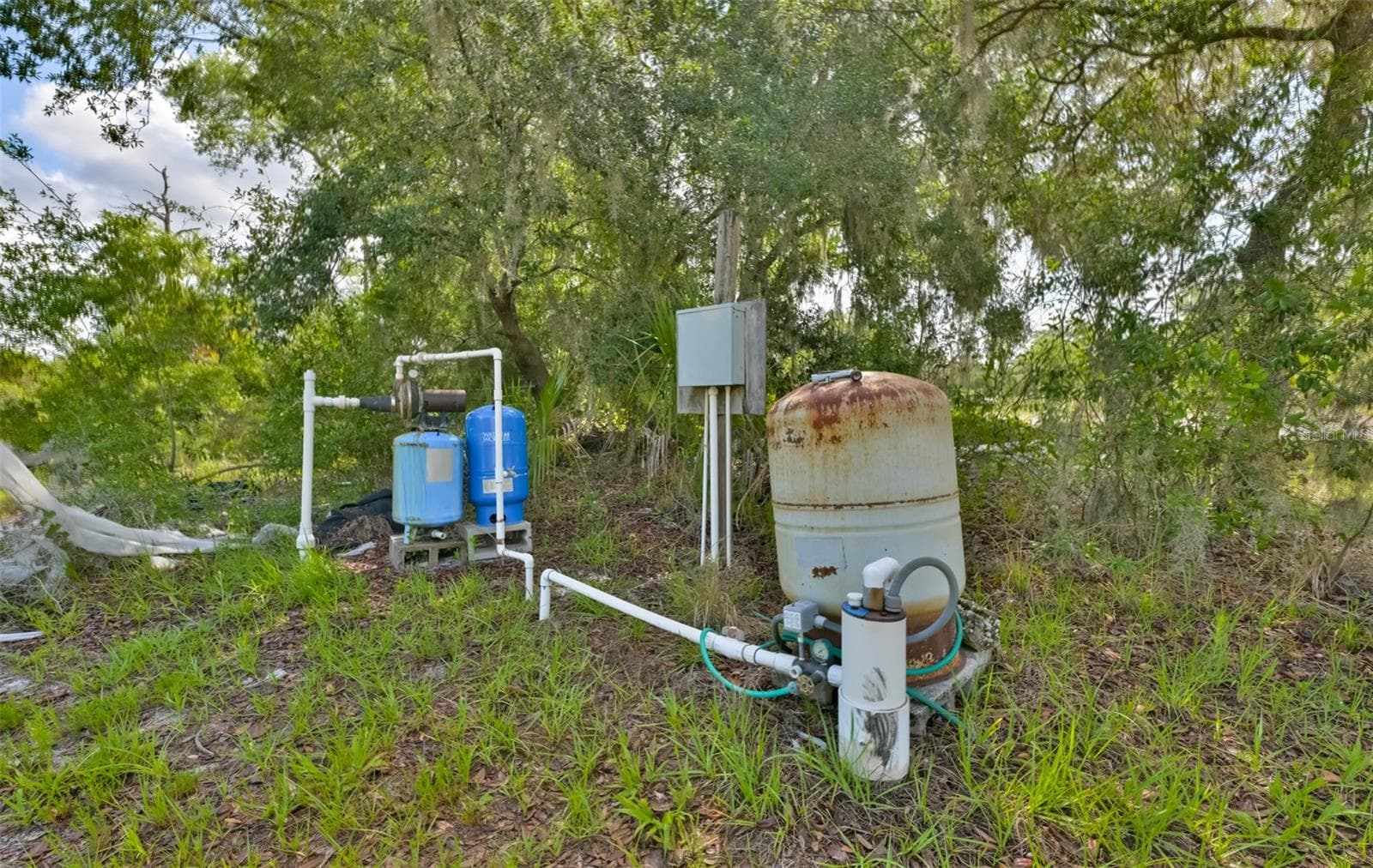 Agriculture at 14451 HIGHLAND RD, WIMAUMA, photo 8 of 72
