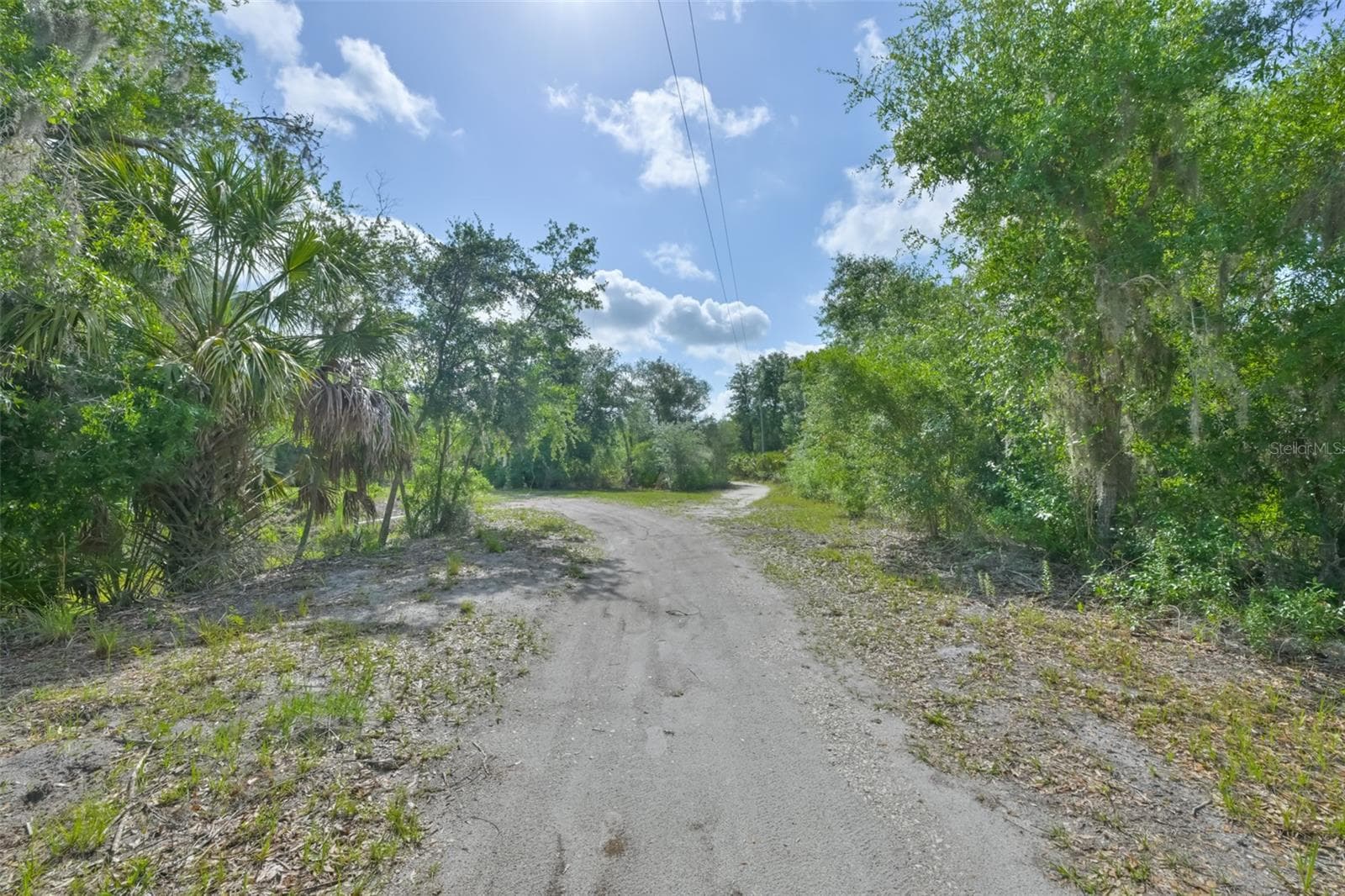 Agriculture at 14451 HIGHLAND RD, WIMAUMA, photo 13 of 72