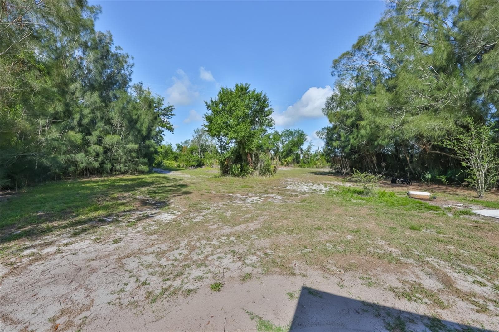 Agriculture at 14451 HIGHLAND RD, WIMAUMA, photo 15 of 72