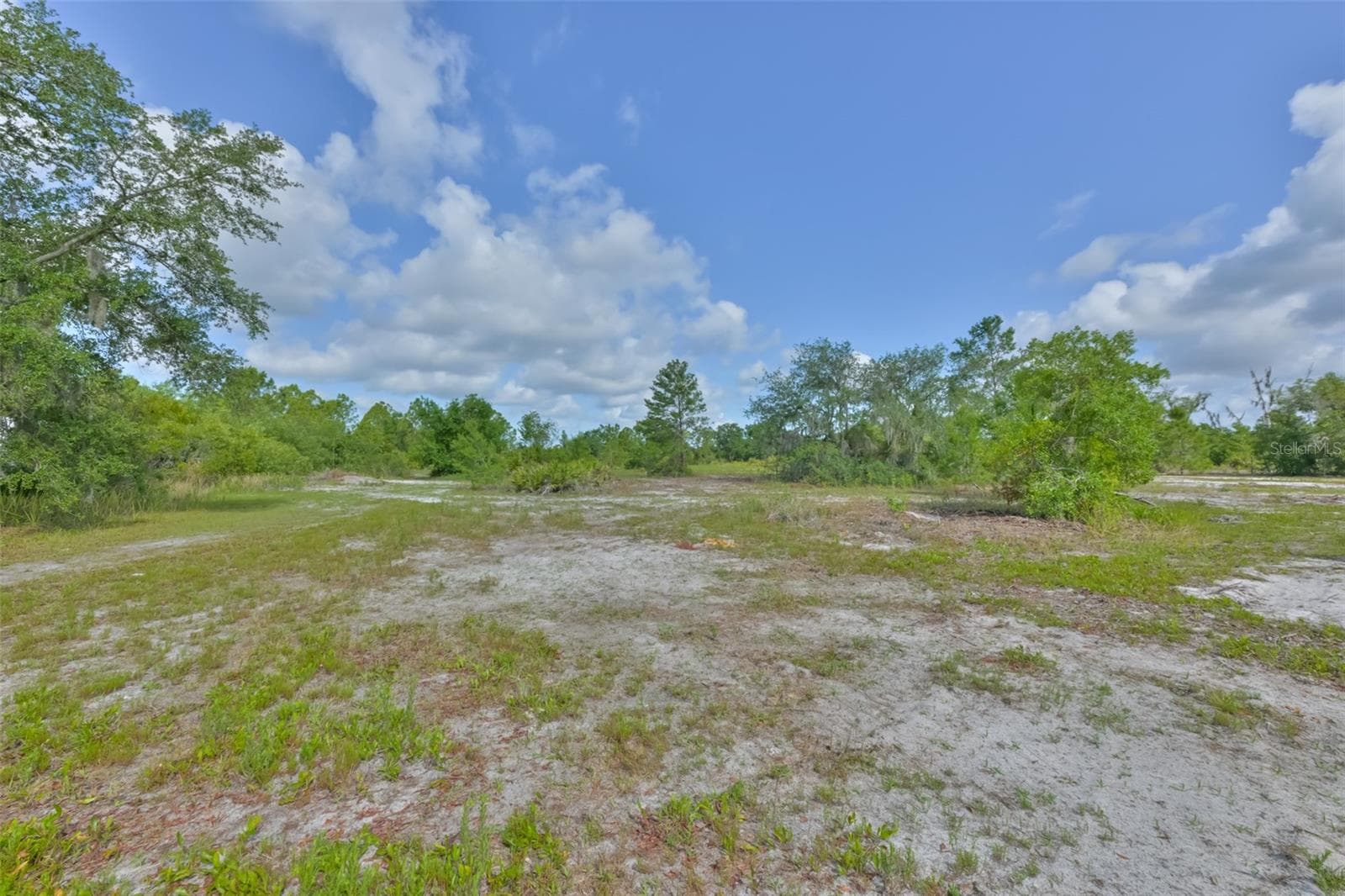 Agriculture at 14451 HIGHLAND RD, WIMAUMA, photo 39 of 72