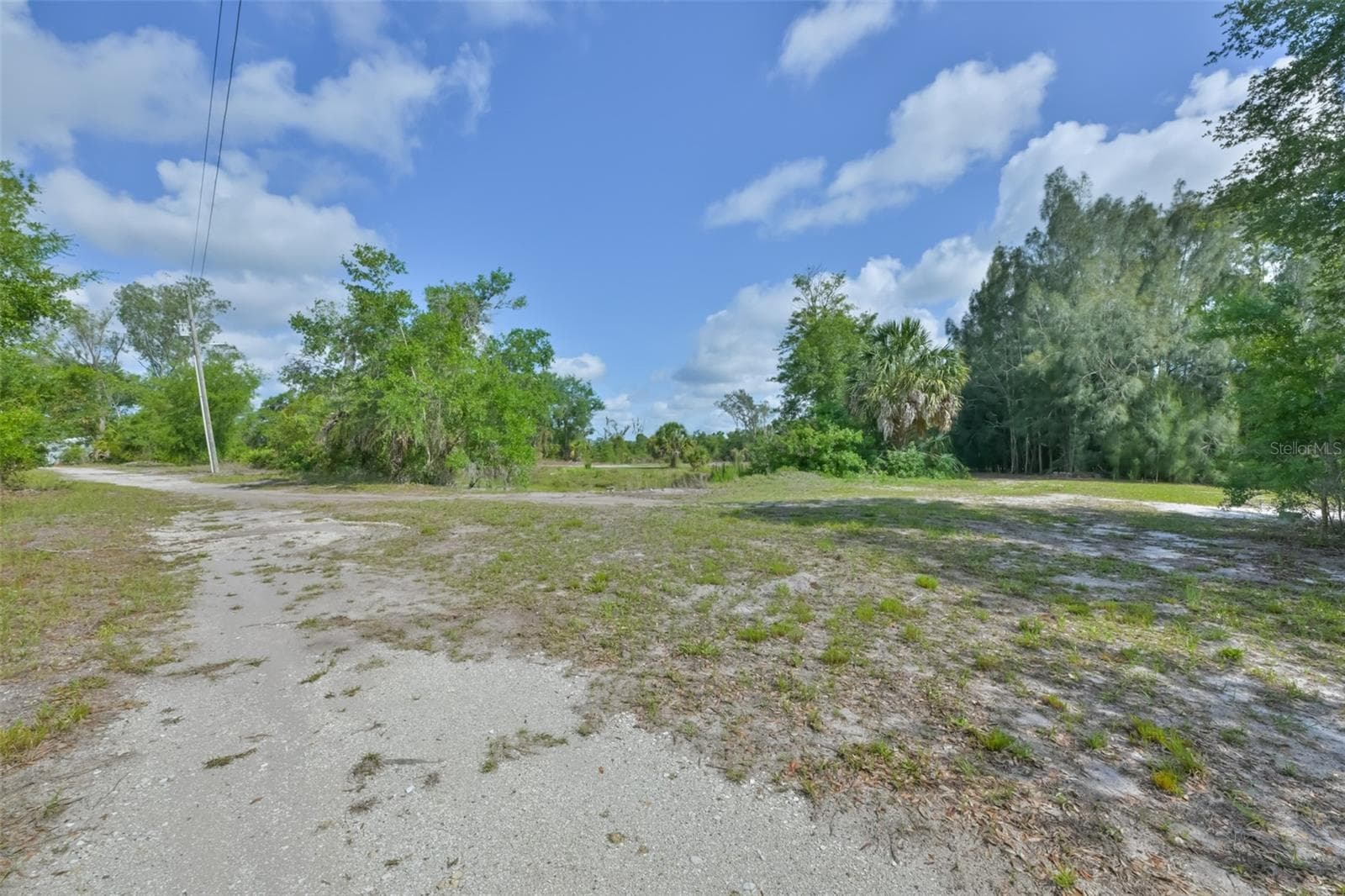 Agriculture at 14451 HIGHLAND RD, WIMAUMA, photo 41 of 72
