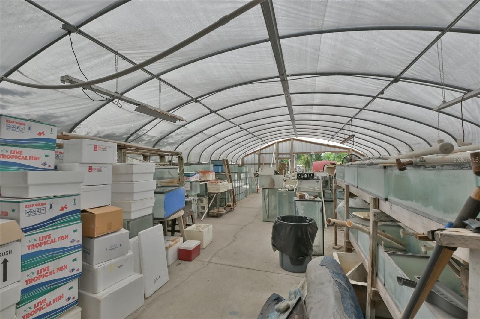 Agriculture at 14451 HIGHLAND RD, WIMAUMA, photo 44 of 72