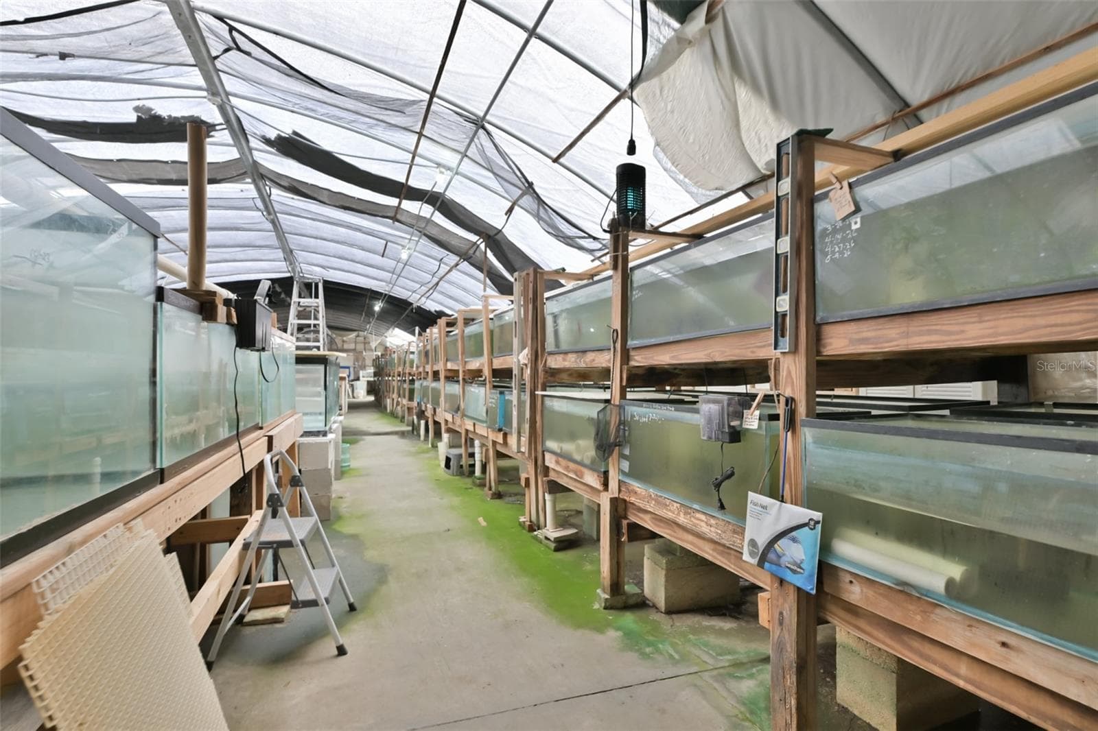 Agriculture at 14451 HIGHLAND RD, WIMAUMA, photo 45 of 72
