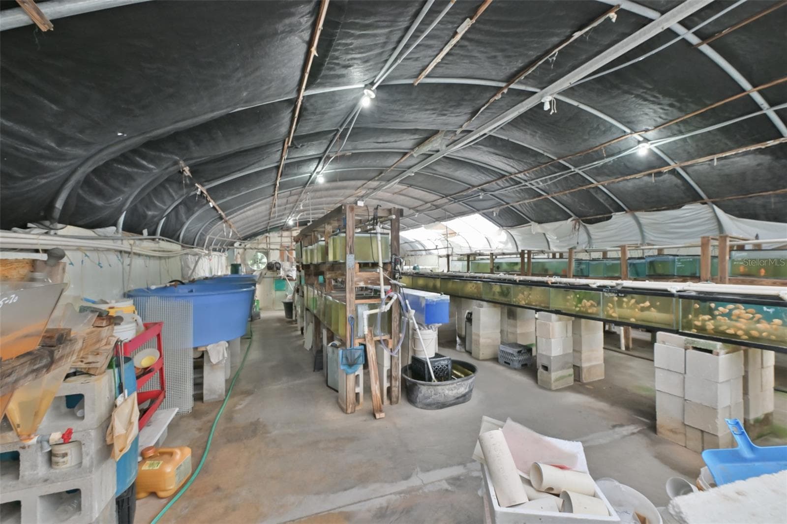 Agriculture at 14451 HIGHLAND RD, WIMAUMA, photo 46 of 72