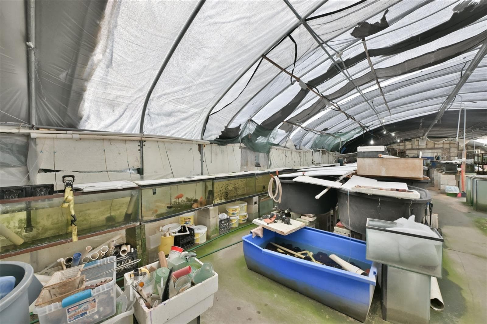 Agriculture at 14451 HIGHLAND RD, WIMAUMA, photo 52 of 72