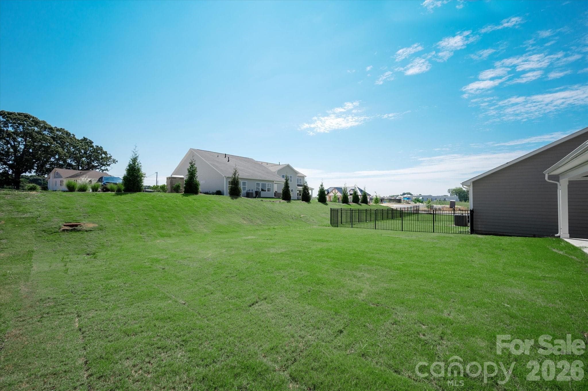 Backyard - 110 Cartington Way, Mooresville