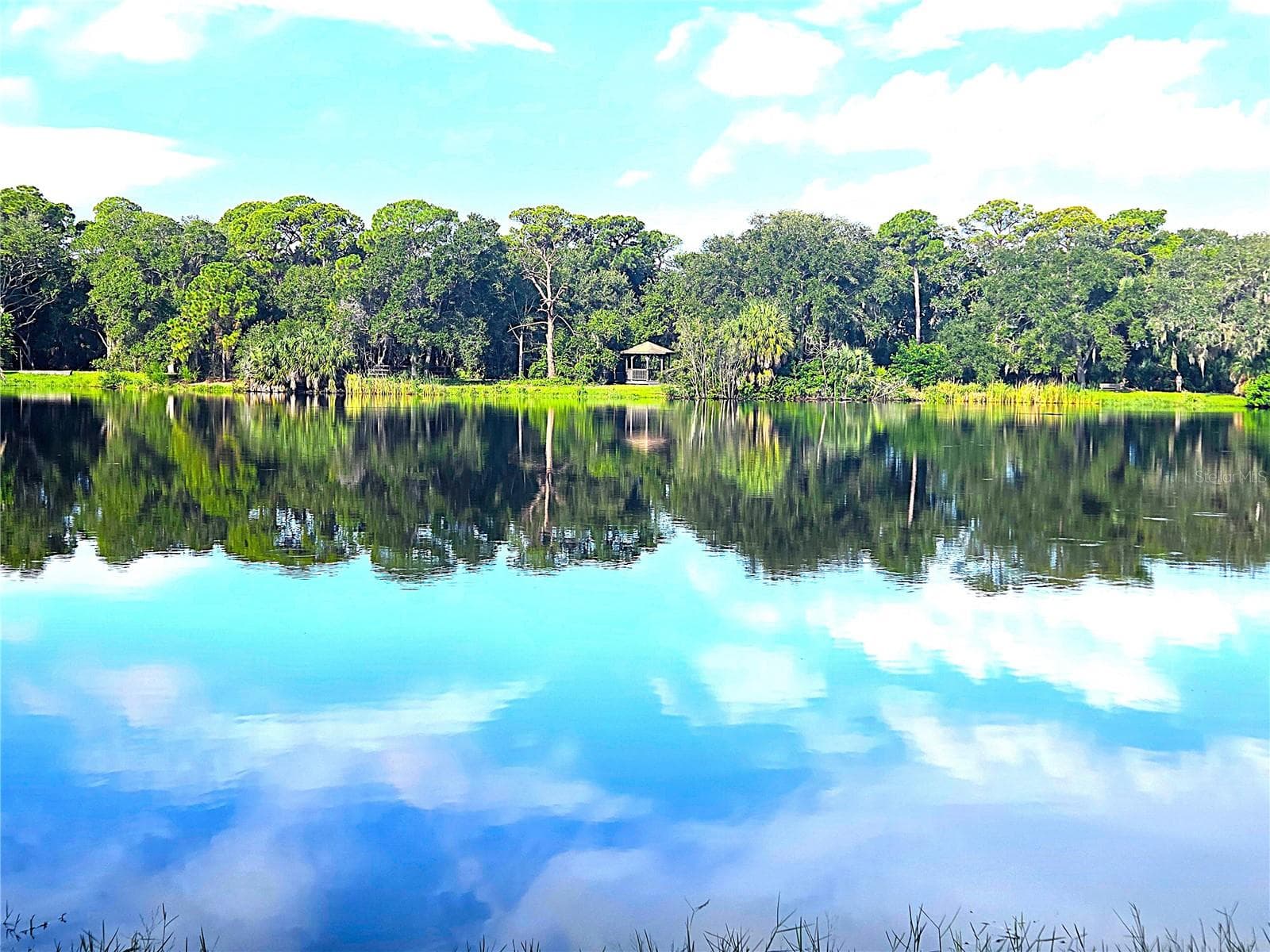 Lake Seminole Park - 9939 KEY HAVEN RD, SEMINOLE