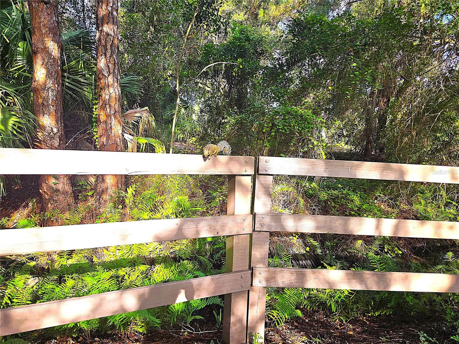 Lake Seminole Park - 9939 KEY HAVEN RD, SEMINOLE