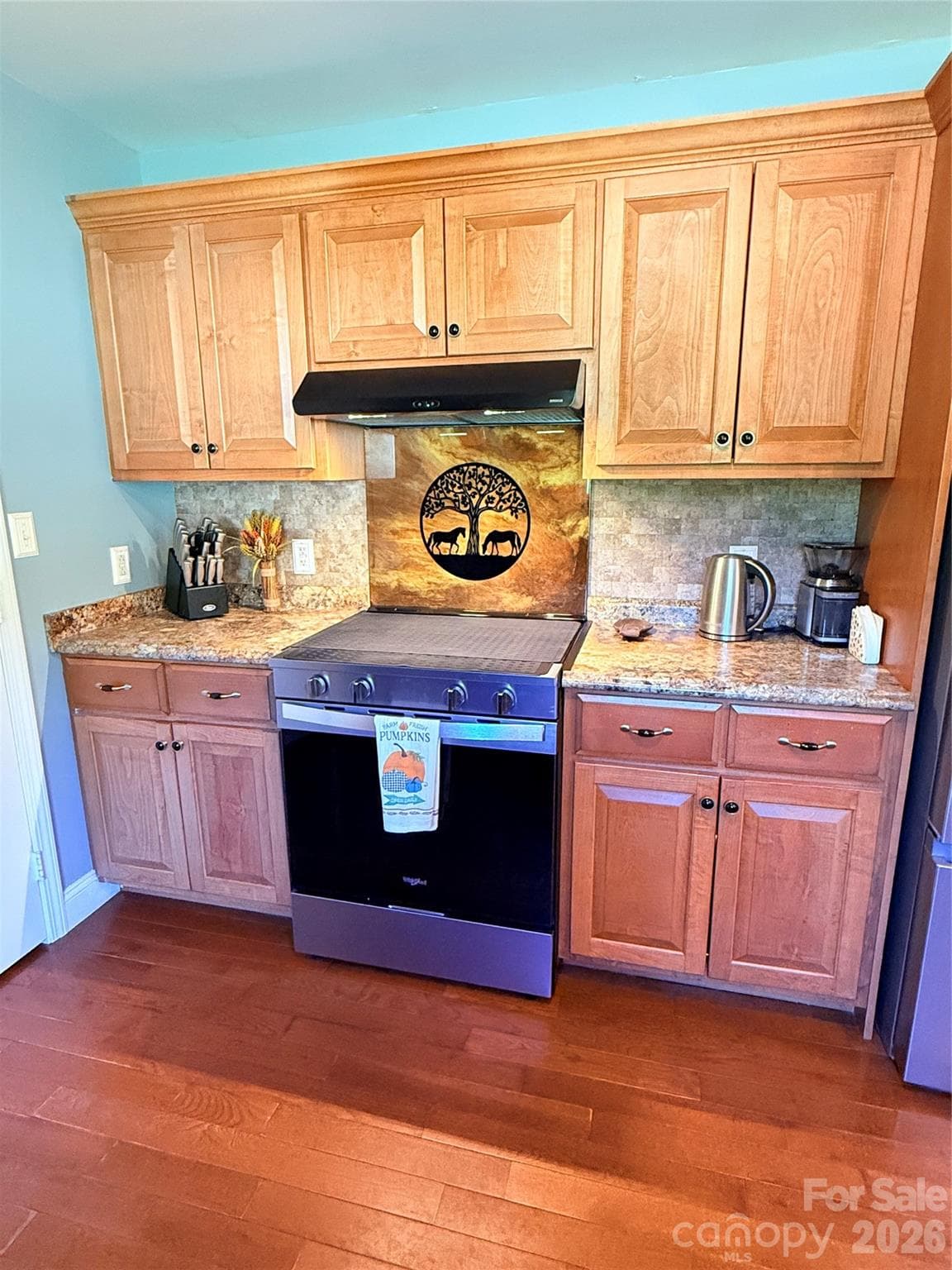 Custom Resin Range Backsplash - 1091 Bill Collins Road, Columbus