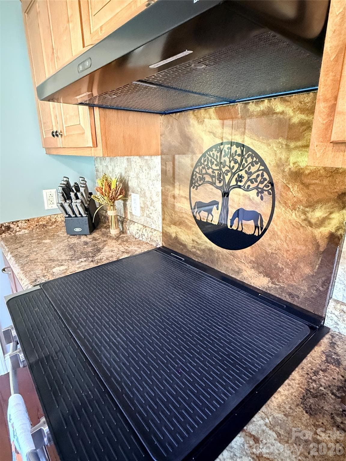 Custom Resin Range Backsplash - 1091 Bill Collins Road, Columbus