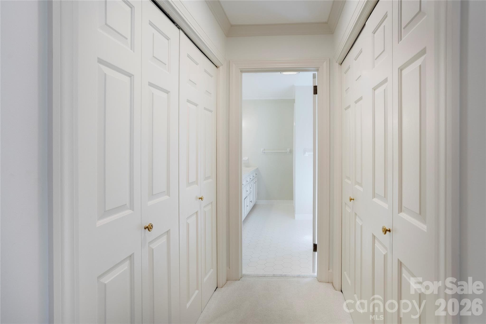 Two spacious reach in closets sit just off the primary bathroom. - 215 Bethel Drive, Salisbury