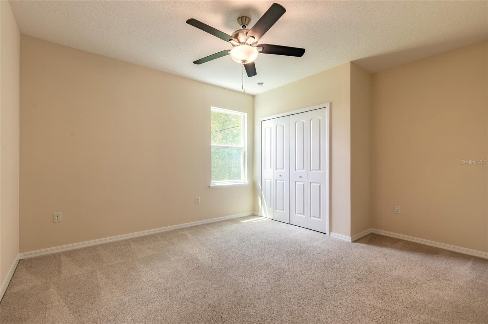 Guest Bedroom - 3938 SUNSET COVE DR, PORT ORANGE