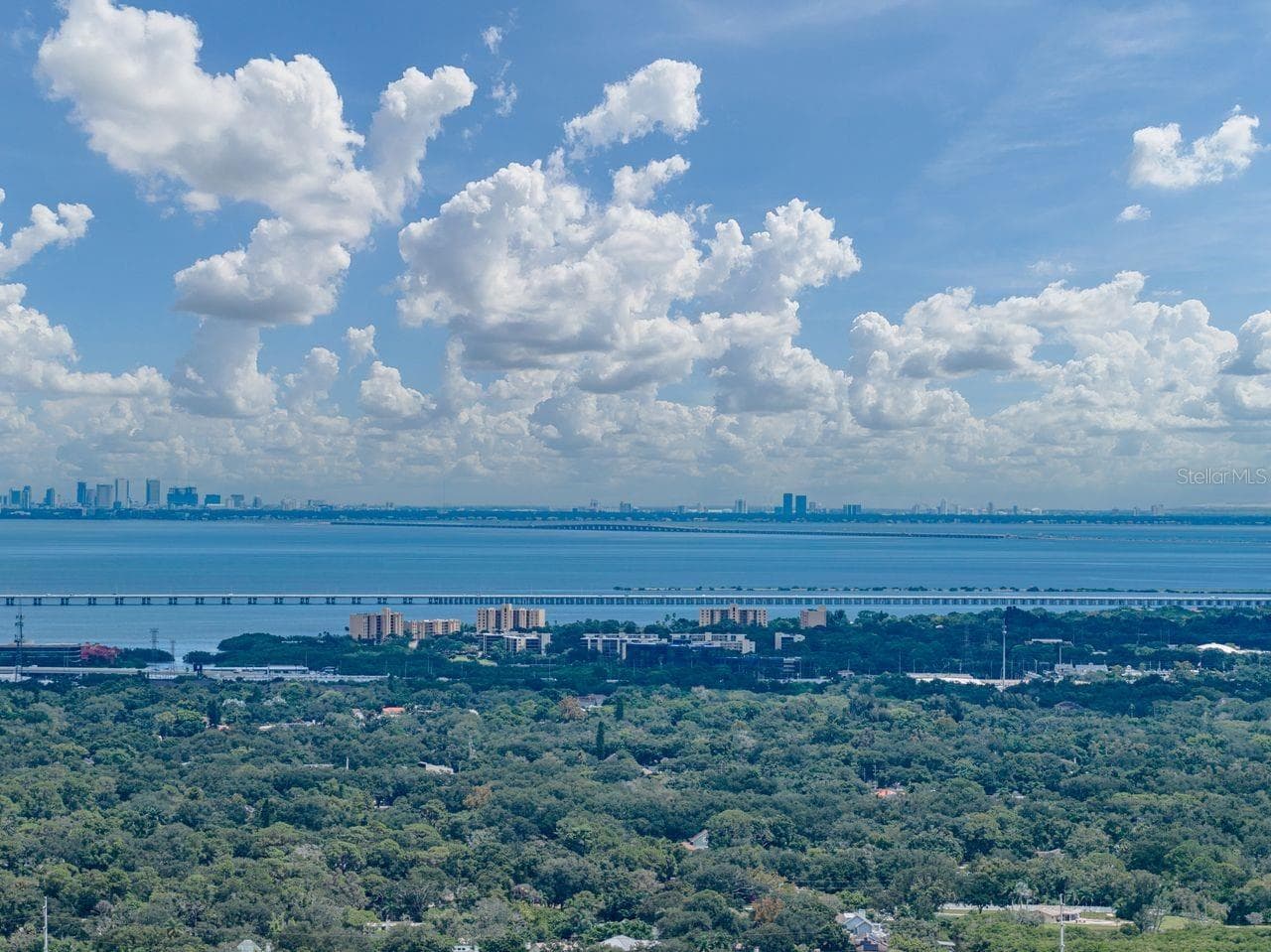 Skyline of downtown Tampa in the distance - 1655 S HIGHLAND AVE #I379, CLEARWATER