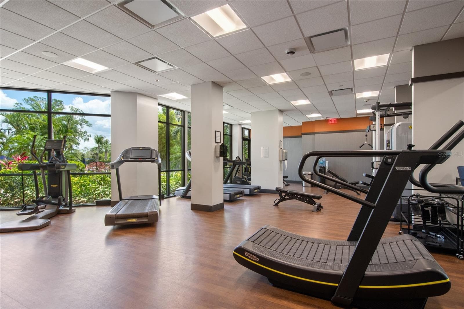 24 Hour Fitness Center - 14501 GROVE RESORT AVE #2542, WINTER GARDEN
