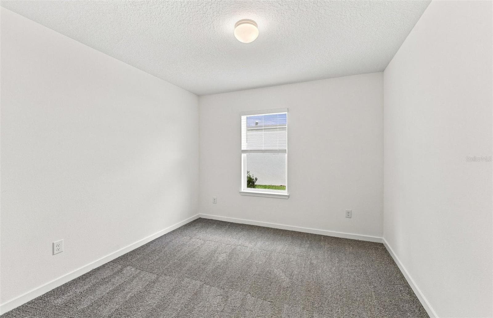 Bedroom 2 - 36790 KISTNA DR, ZEPHYRHILLS