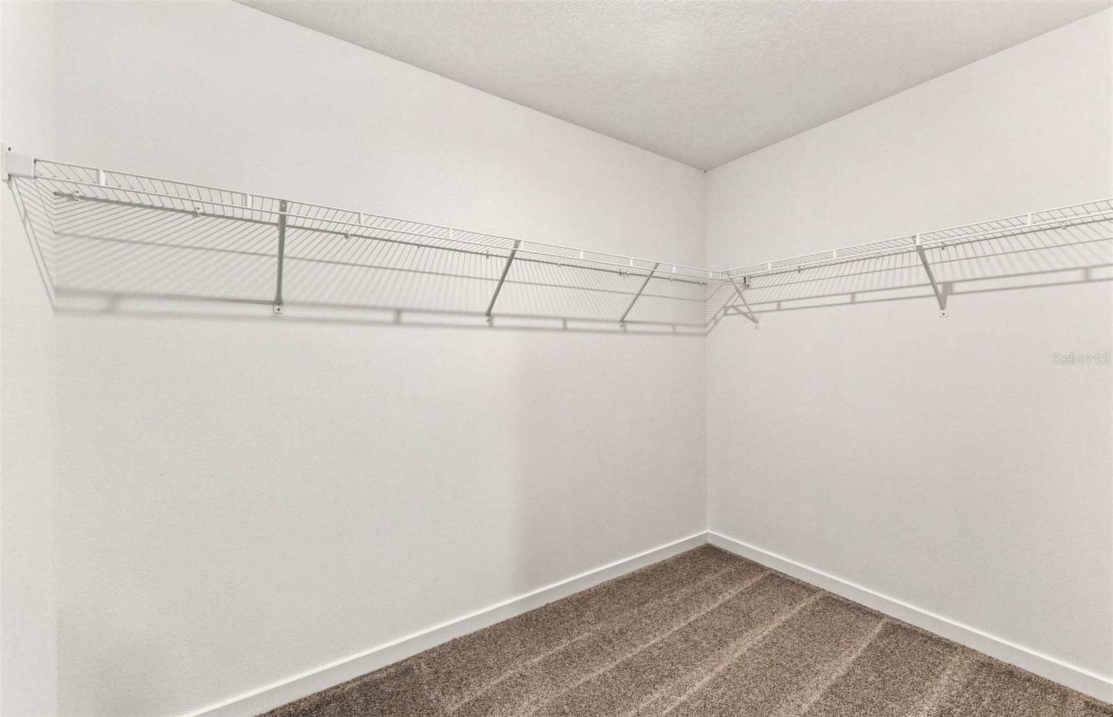 Owner's Walk-in Closet - 36790 KISTNA DR, ZEPHYRHILLS