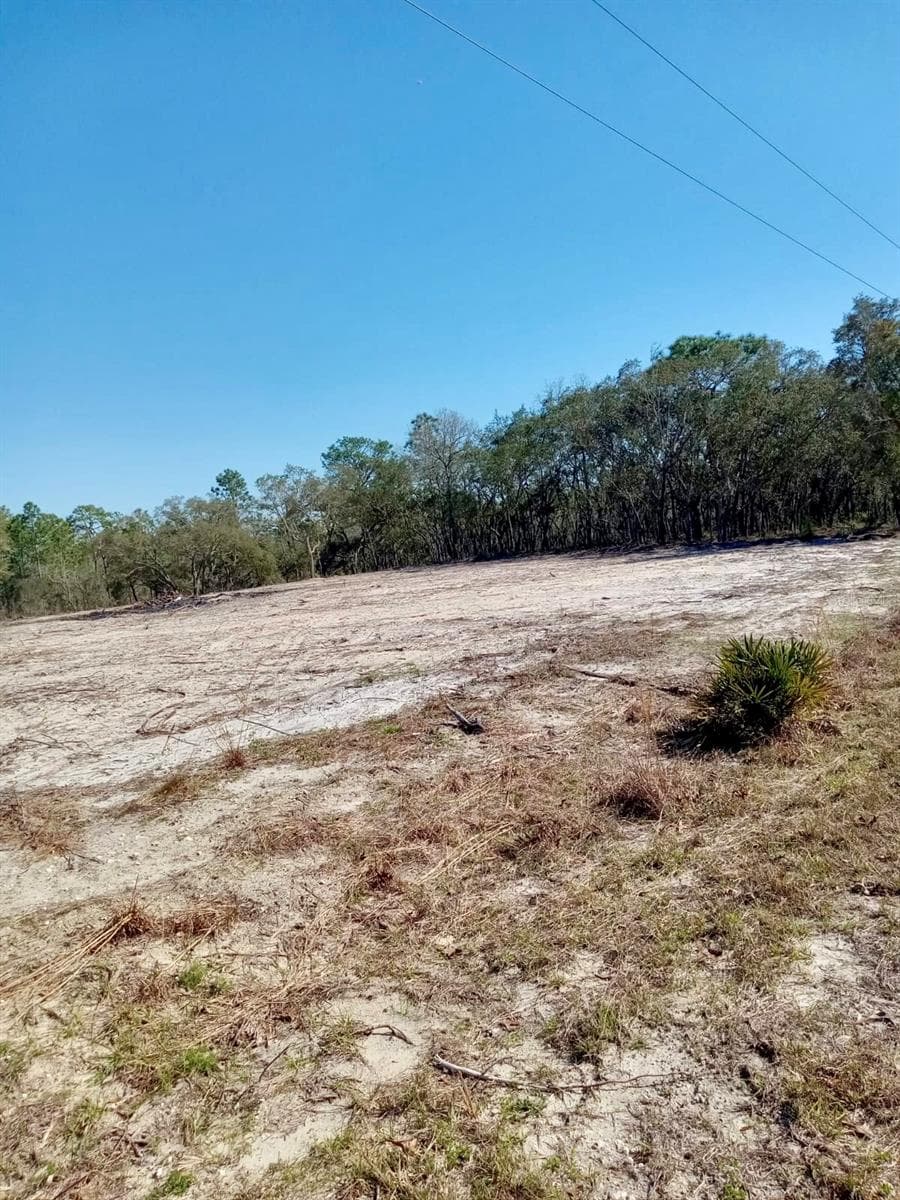 Land at 0 SE 125TH CT, DUNNELLON, photo 2 of 5