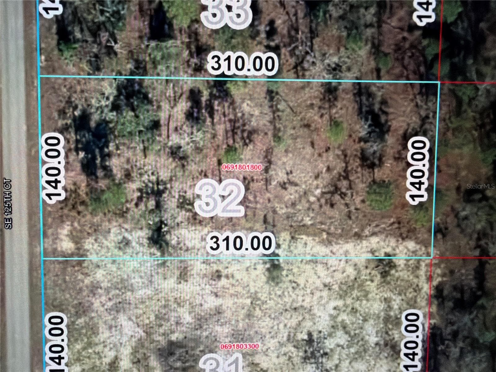 Land at 0 SE 125TH CT, DUNNELLON, photo 3 of 5