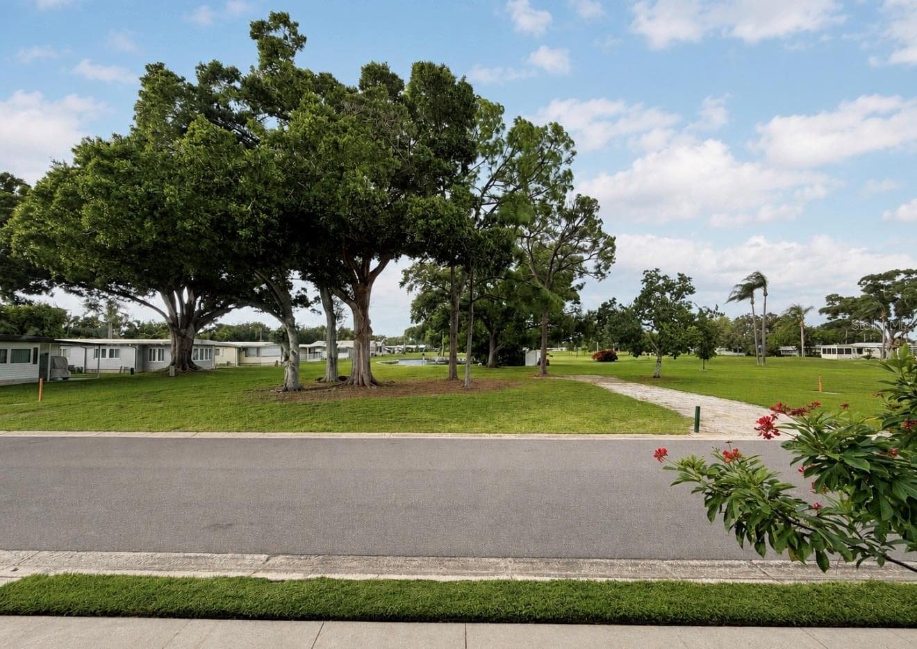 View from inside Florida room across the street - 1100 BELCHER RD S #304, LARGO