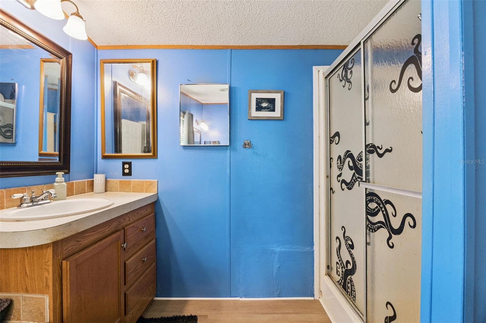 Manufactured Home at 680 WILD ACRES RD, OSTEEN, photo 20 of 46