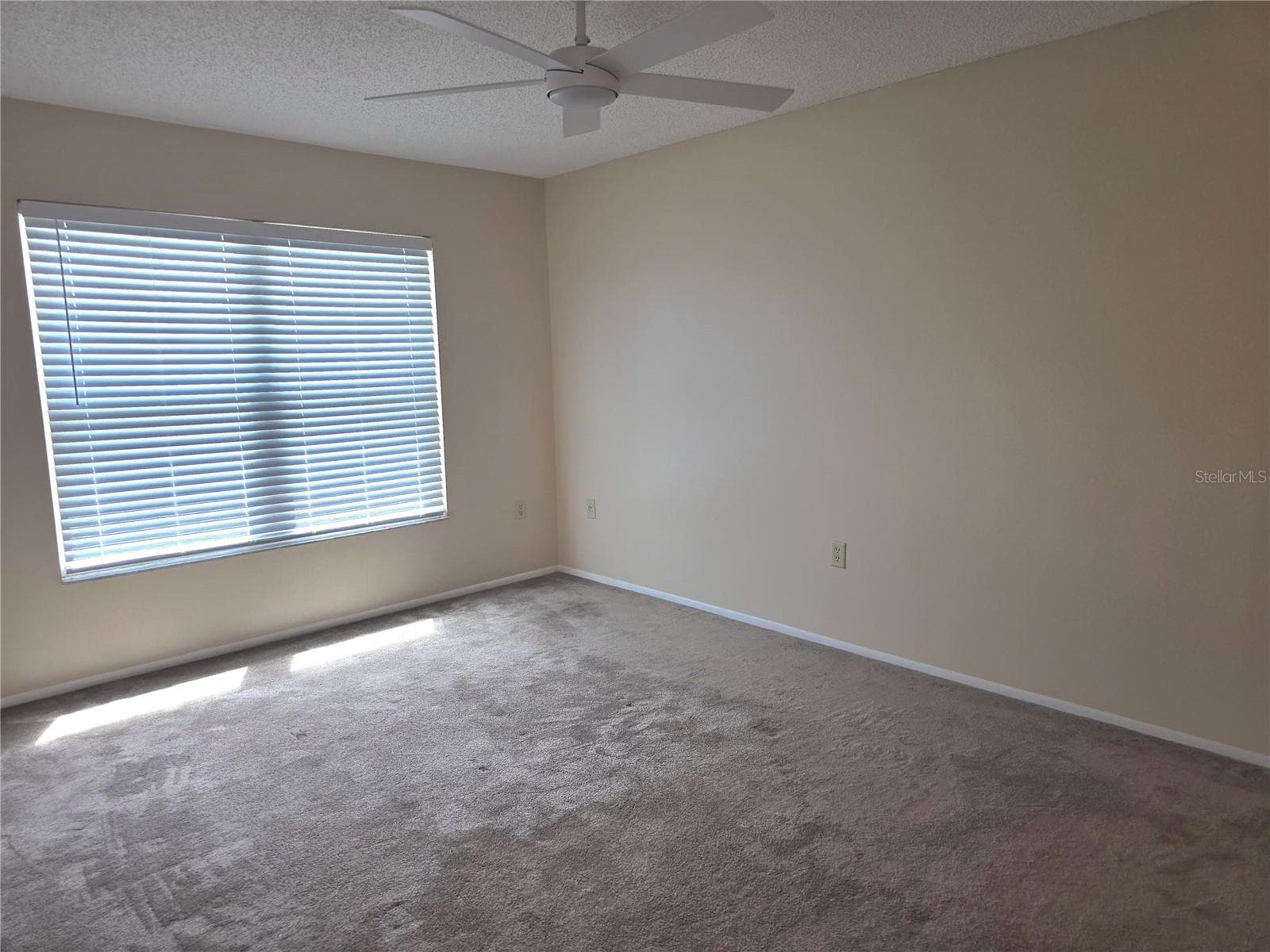 Single Family Residence at 2912 WAINWRIGHT CT, NEW PORT RICHEY, photo 12 of 37