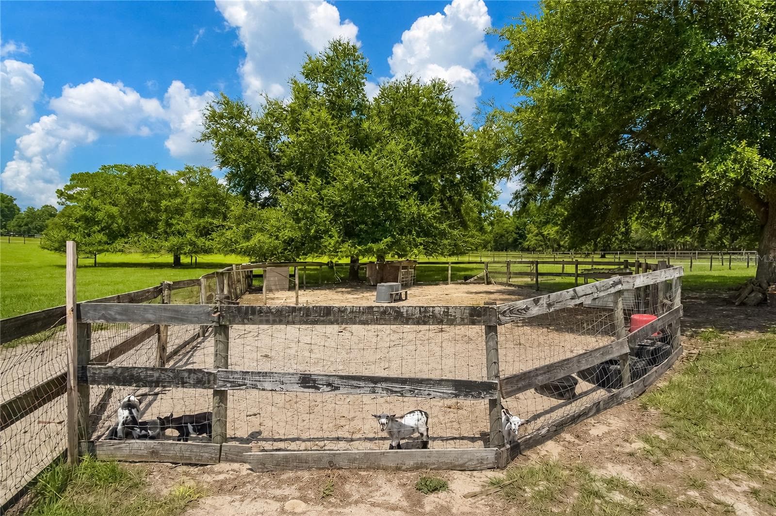 Farm at 10525 SW 129TH TERRACE RD, DUNNELLON, photo 53 of 73