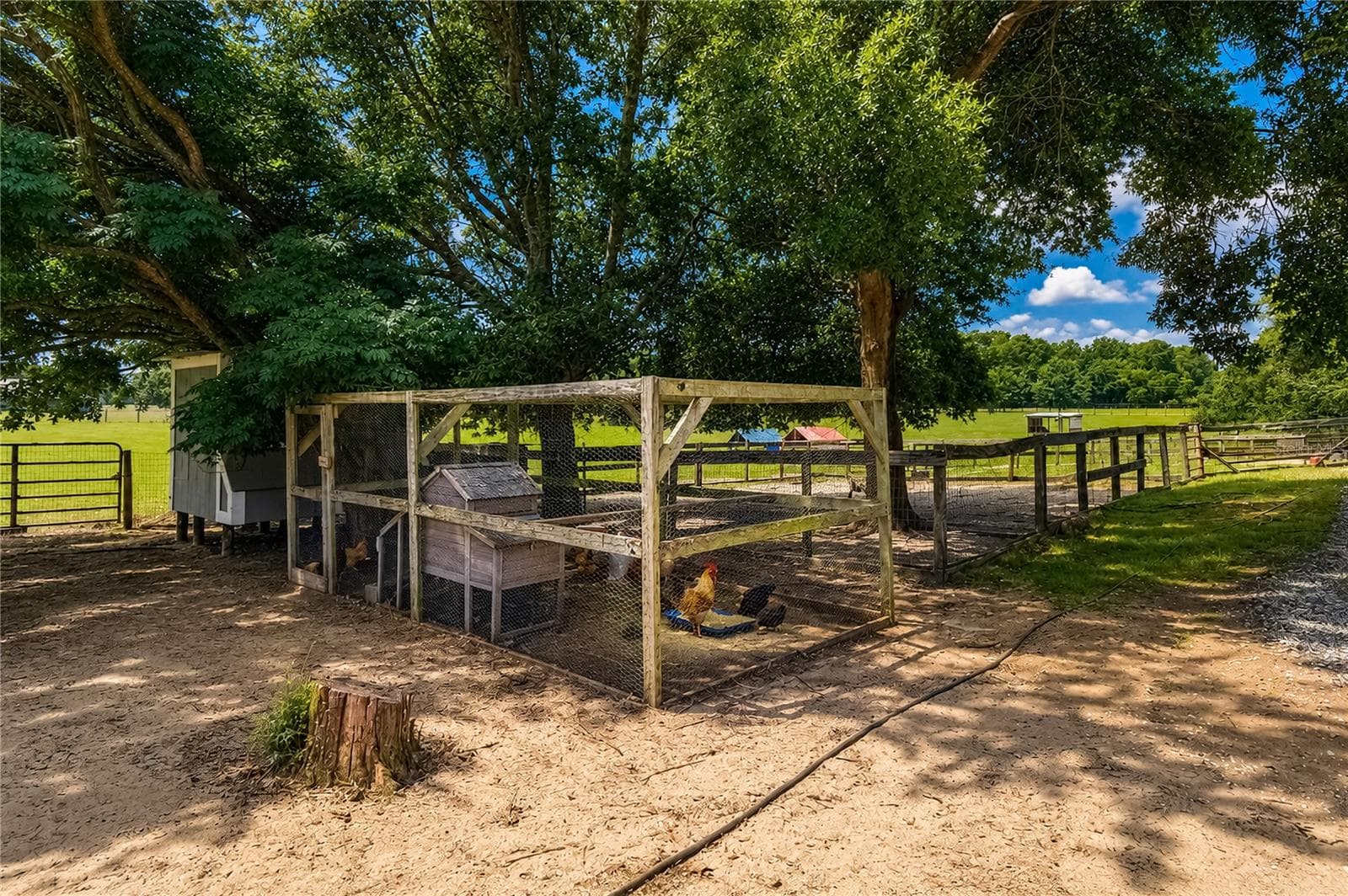 Farm at 10525 SW 129TH TERRACE RD, DUNNELLON, photo 55 of 73