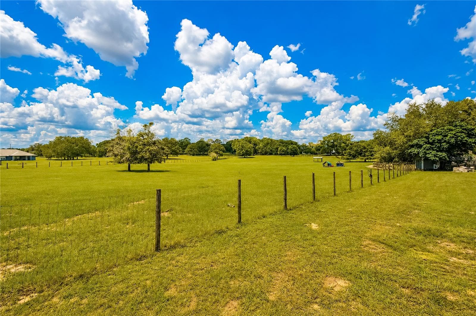 Farm at 10525 SW 129TH TERRACE RD, DUNNELLON, photo 66 of 73