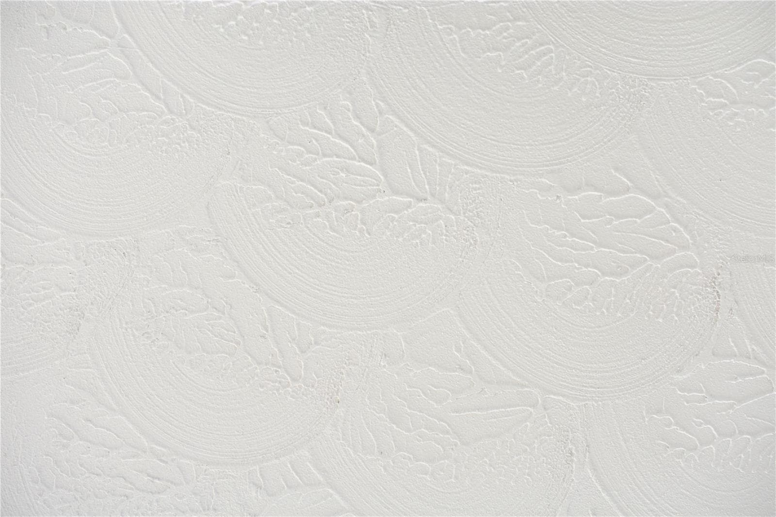 No popcorn ceilings! Lovely Coral type swirl on the ceilings throughout the home. - 3602 17TH AVE W, BRADENTON