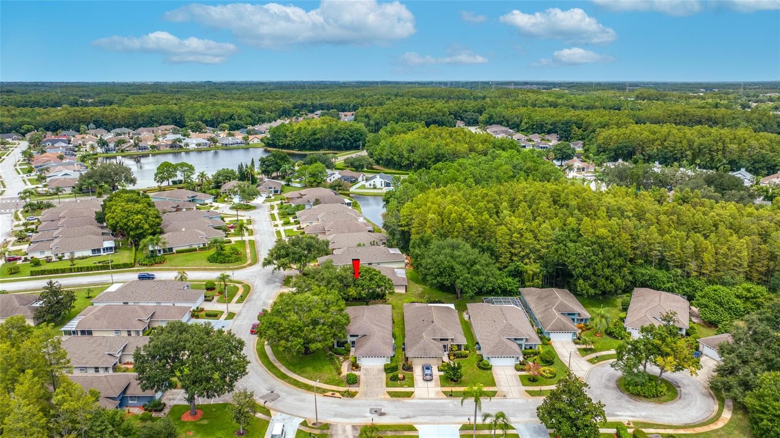 Single Family Residence at 1044 DALESIDE LN, NEW PORT RICHEY, photo 40 of 48