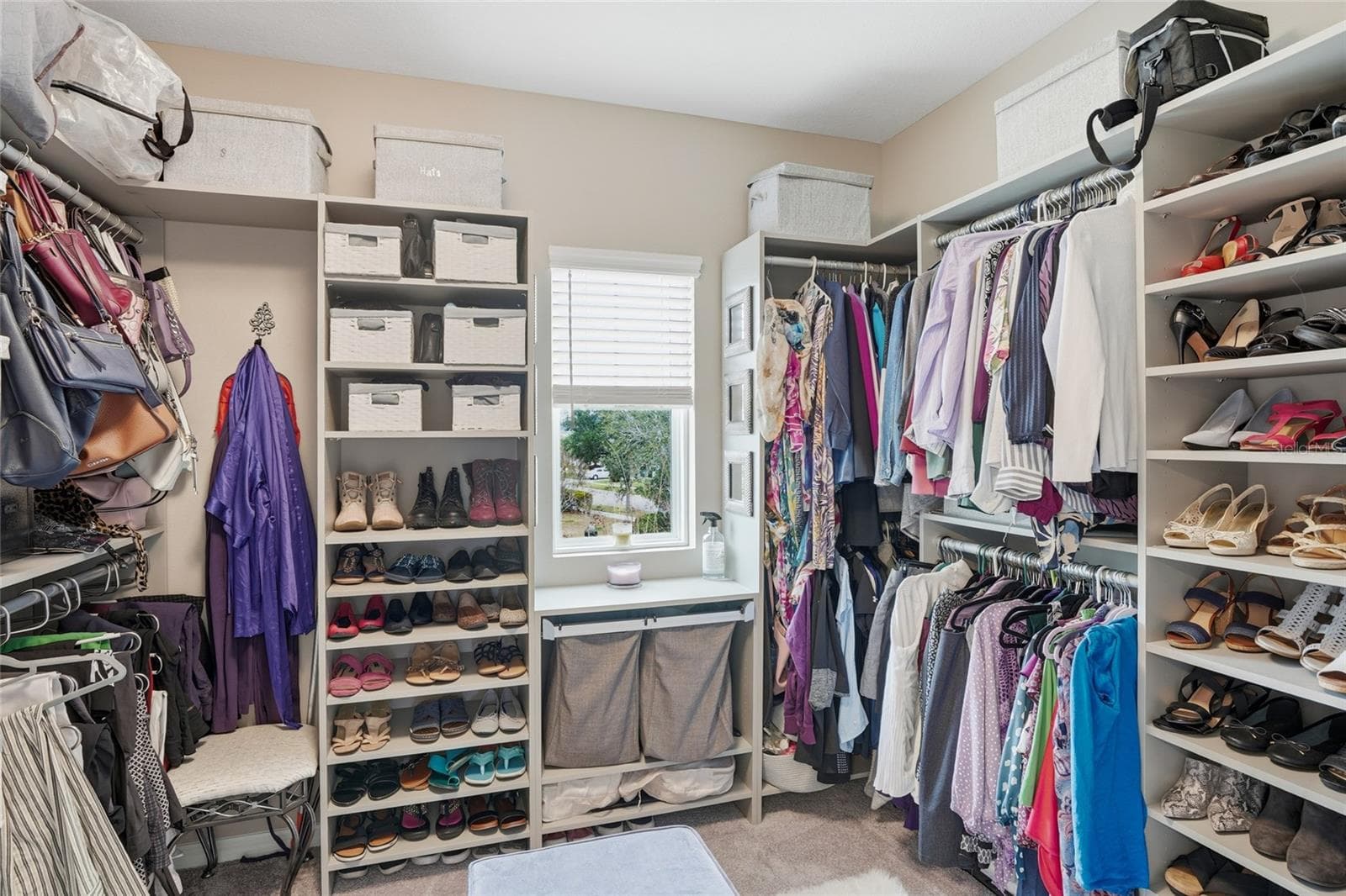 Fully built out 2nd Primary Closet - 33564 WILLOW POINT CT, WESLEY CHAPEL