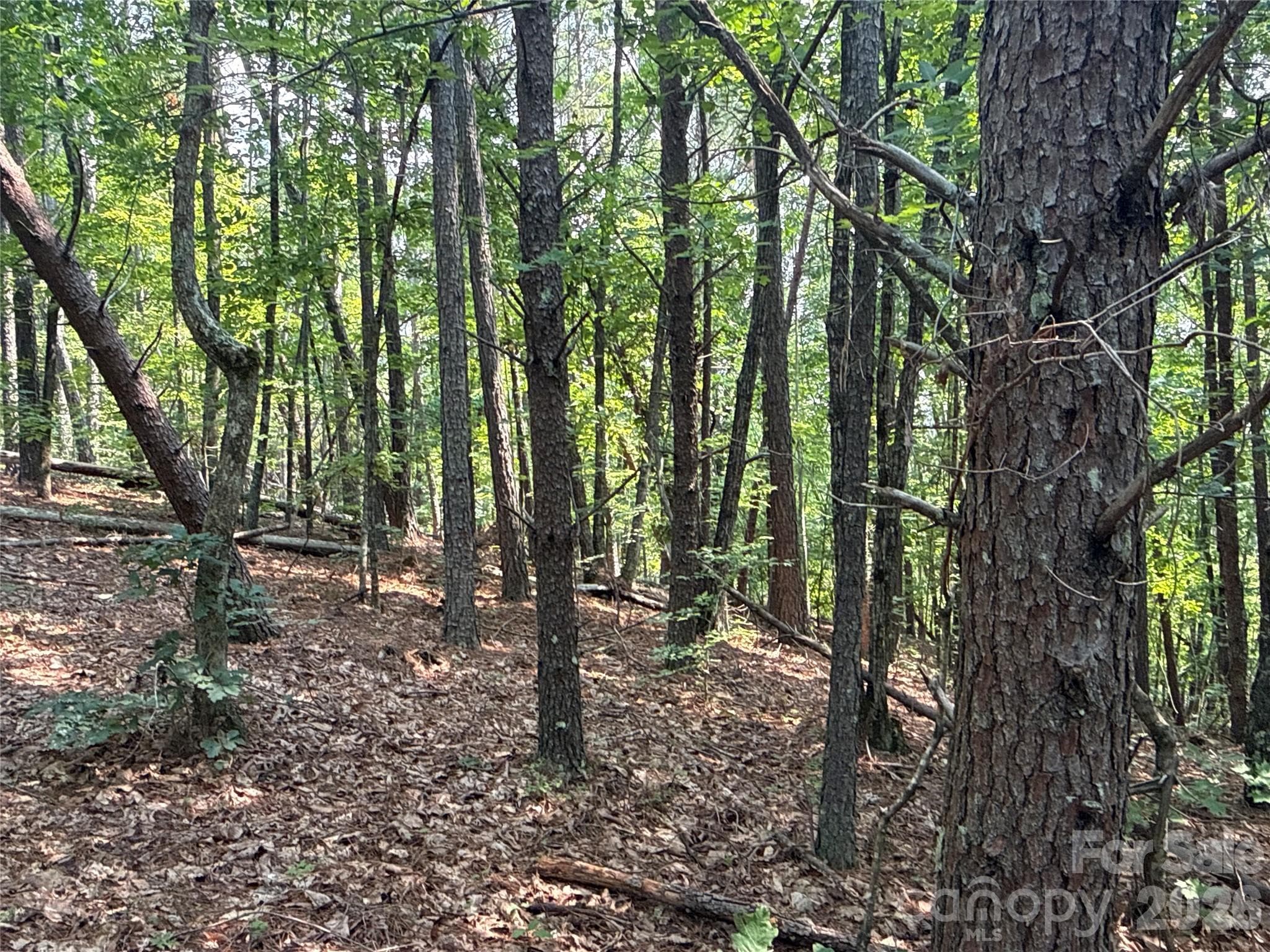 242 Golden Creek Ridge