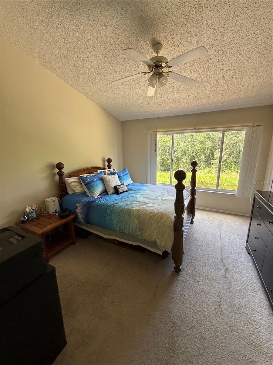 Townhouse at 30035 GRANDA HILLS CT, WESLEY CHAPEL, photo 26 of 30