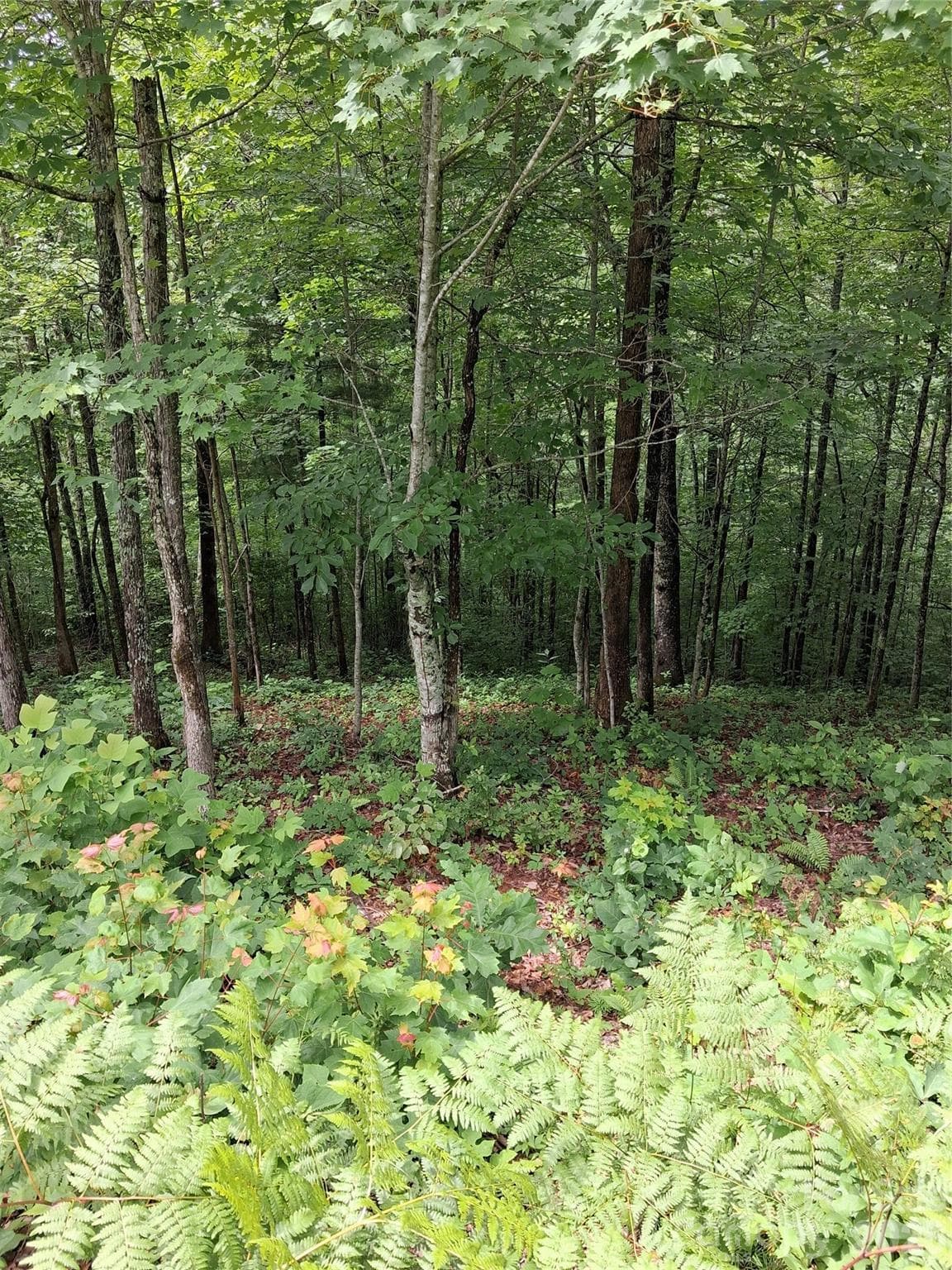 TBD Preservation Trail