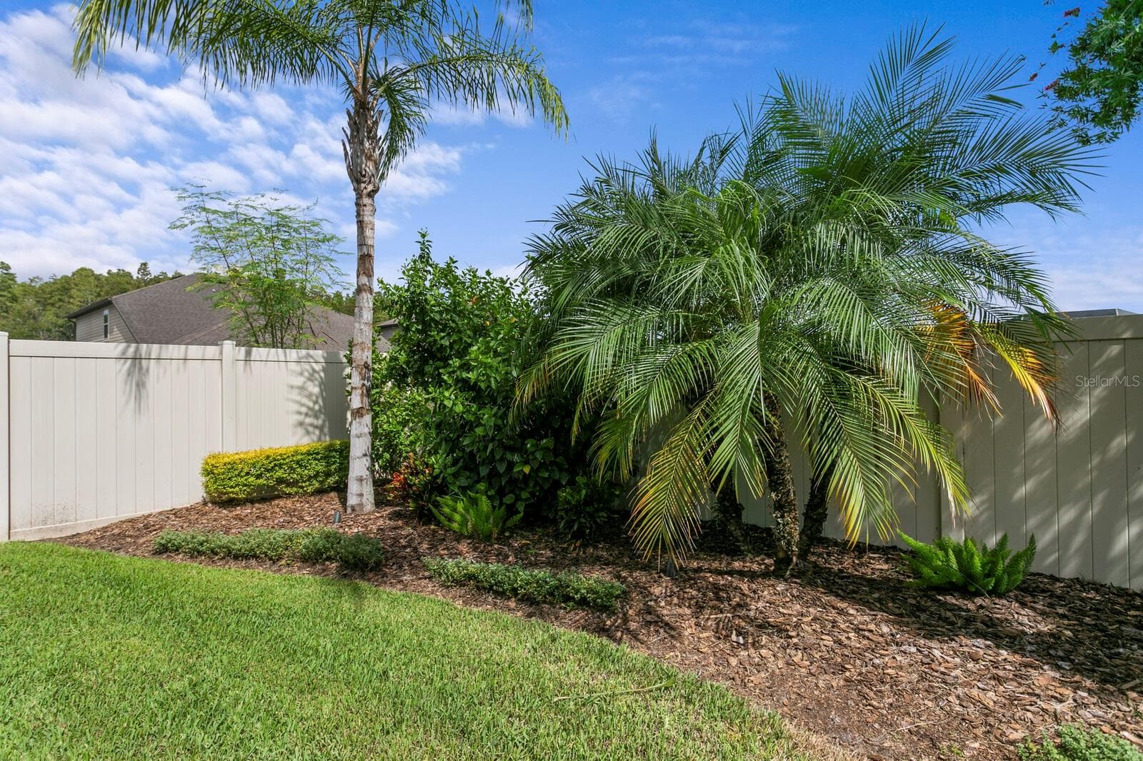 More tropical landscaping in the backyard - 18908 WILLOWMORE CEDAR DR, LUTZ