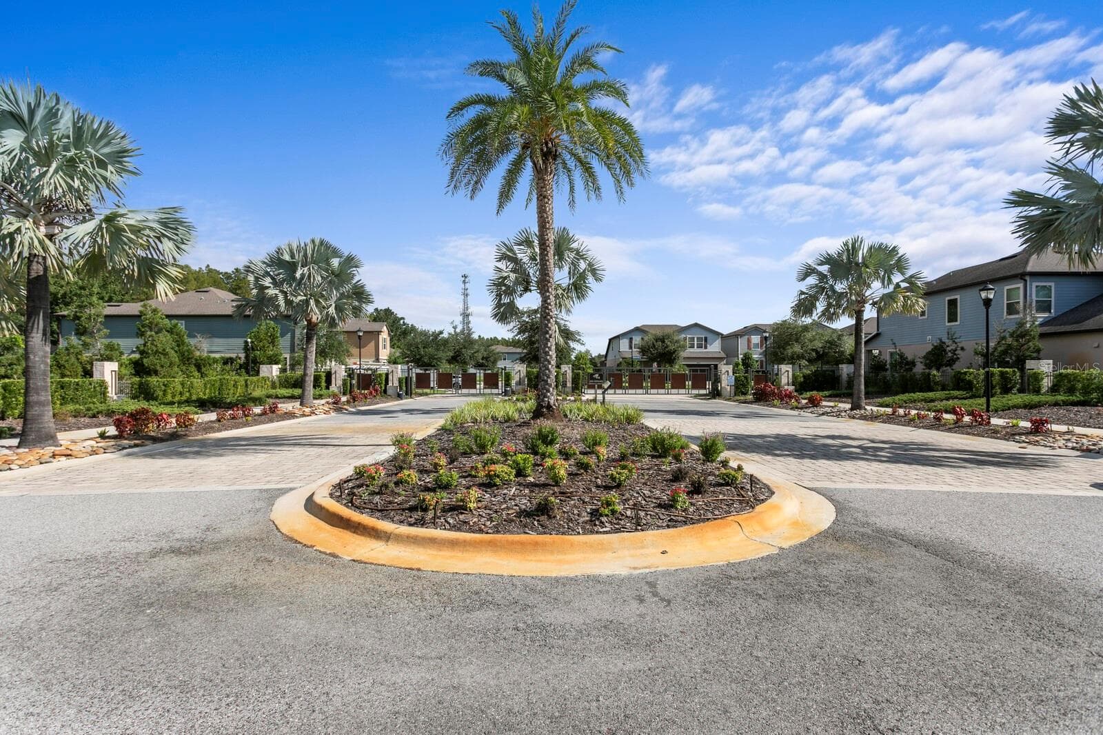 Birchwood Preserve entrance - 18908 WILLOWMORE CEDAR DR, LUTZ