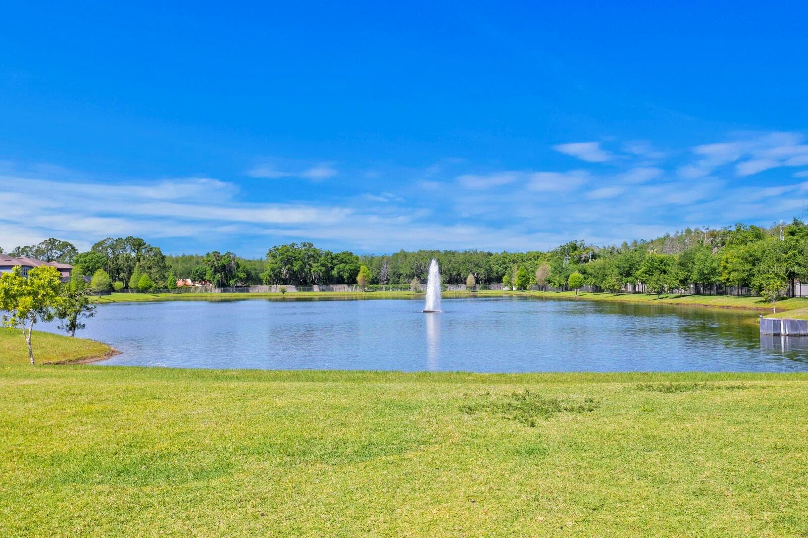 Community Lake - 18908 WILLOWMORE CEDAR DR, LUTZ